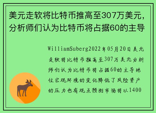 美元走软将比特币推高至307万美元，分析师们认为比特币将占据60的主导地位 
