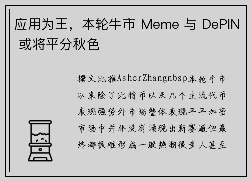 应用为王，本轮牛市 Meme 与 DePIN 或将平分秋色